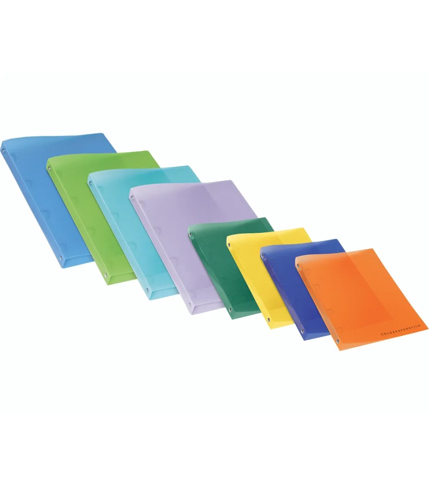 Cartella Ad Anelli Traslucidi Top Quality 4 anelli Tondi