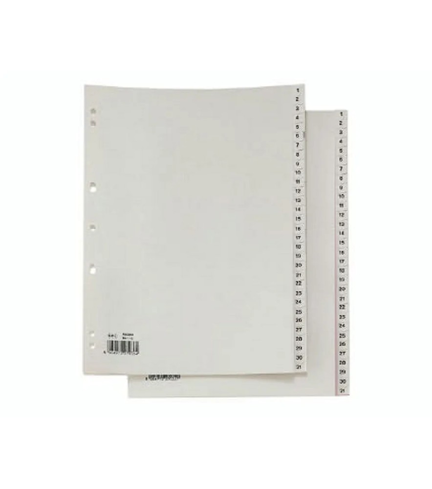 Divisori Numerici Plastica