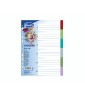 Divisori Colorati Plastica Plastica
