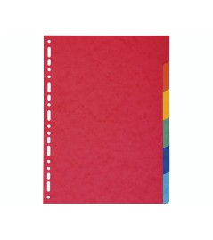Divisori Colorati Cartoncino