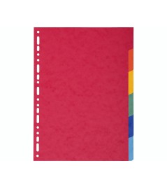 Divisori Colorato Cartoncino Lustre 225gr