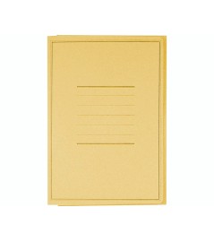 Cartellina Manilla 3 Lembi con Stampa Cartoncino 200grmm 240