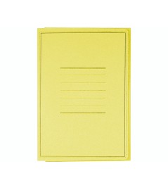 Cartellina Manilla 3 Lembi con Stampa Cartoncino 200grmm 240