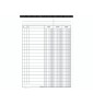 Scheda Dare/avere/saldo 100 pezzi Verticale