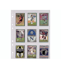 10 Buste Perforate Porta...