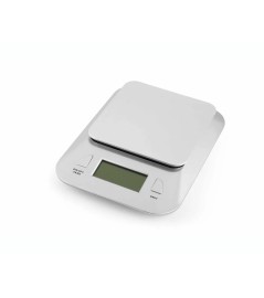 Bilancia Elettronica Digitale