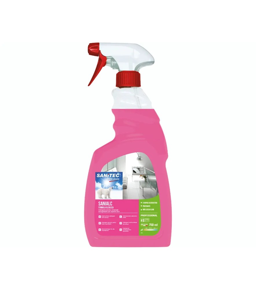 Detergente per Superfici Sanialc Spray