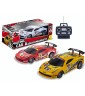 T Control - Auto Radiocomandata Racing 3 colori Scala 1:24