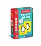 Sapientino Montessori Flashcards