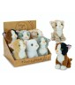 Nice & Good - Gattini 6 Mdl 18 Cm
