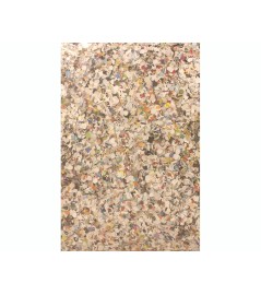 Coriandoli