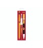 Set Due Penne e Matita Bic in Blister