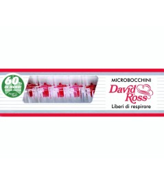 Micro Bocchini