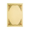 CARTA PERGAMENA DIPLOMI DECORATI