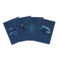 MAXI QUADERNO MONOCROMO BLUE