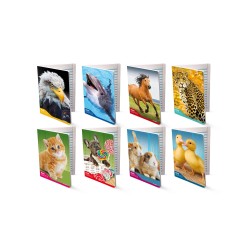 MAXI QUADERNO DIDATTICO