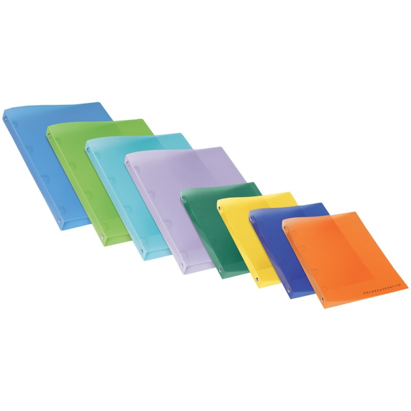 CARTELLA AD ANELLI TRASLUCIDI TOP QUALITY