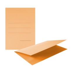 CARTELLINA MANILLA SENZA...