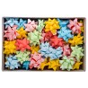 COCCARDE STELLE FANTASIA