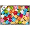 COCCARDE STELLE LUCIDE LACCATE 6807
