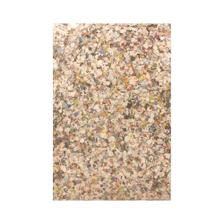 CORIANDOLI