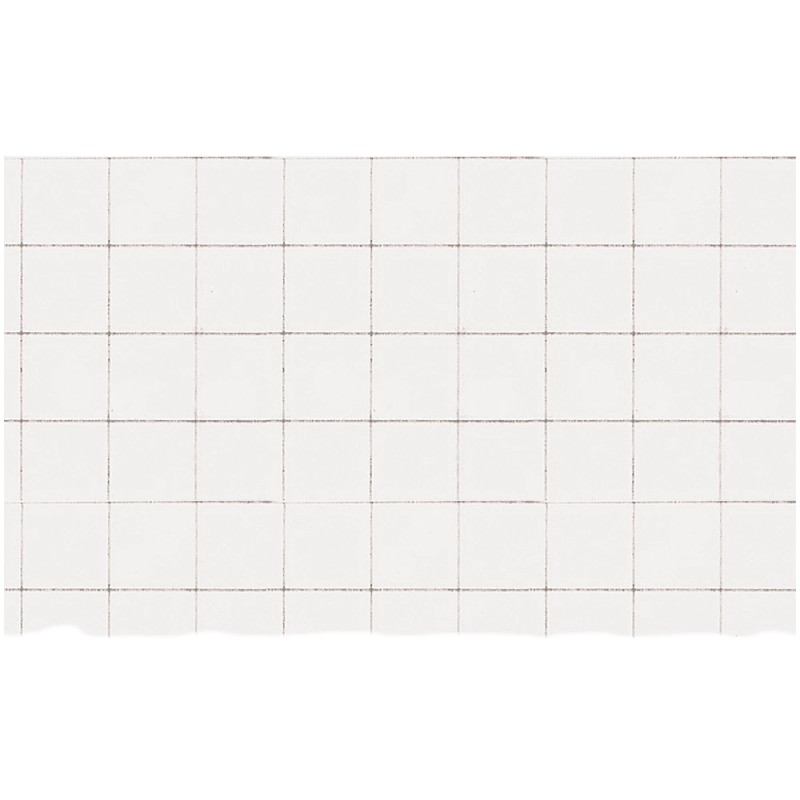 CARTONCINO RIGATO