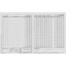 REGISTRO DELLE FATTURE EMESSE