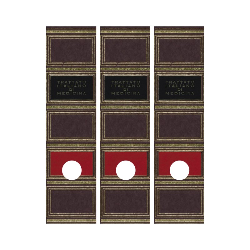 DORSI PER RACCOGLITORE IN CARTA TRITTICO