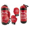 TEOSPORT - SET PUGILE CON 2 GUANTONI
