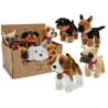 NICE & GOOD - CANI 18 CM C/MEDAGLIETTA 6 MDL