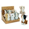 NICE & GOOD - GATTINI 6 MDL 18 CM