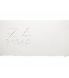 Cartoncino da Disegno F4 50...