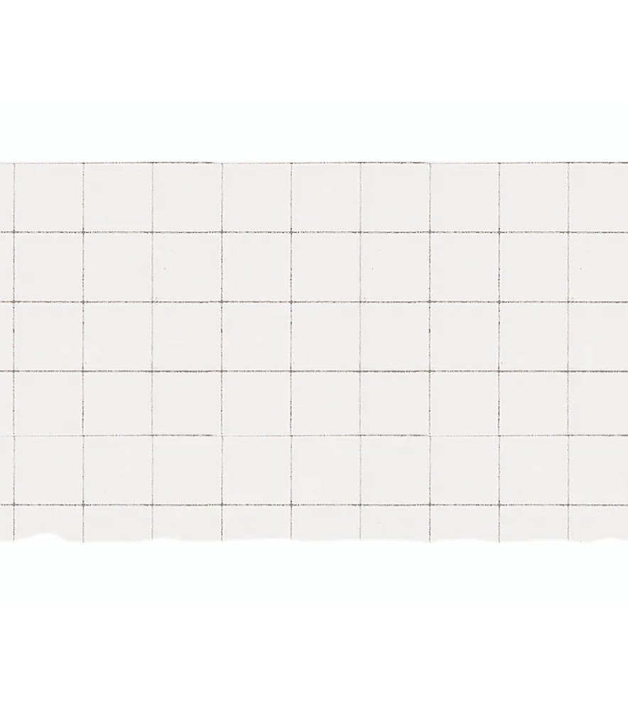 Cartoncino Rigato 70 x 100cm Liscio 10 Mm
