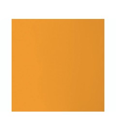 Cartoncino Fluorescente 50 x 70cm Liscia
