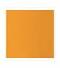 Cartoncino Fluorescente 50 x 70cm Liscia