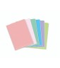 Maxi Spiralato Ppl con Fori Pastel 160 pagine 80gr 80 fogli