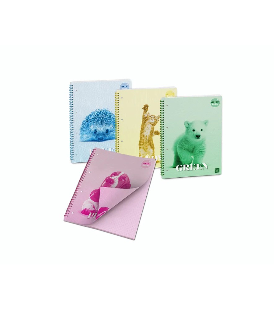 Blocco Spirale Skip Color Inside 140 pagine 80gr Colorata