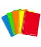 Quaderno Spiralato Ppl T/t 80gr S/fori 80 fogli
