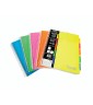 Maxi Spiralato Ppl C/divisori 80gr 100 fogli