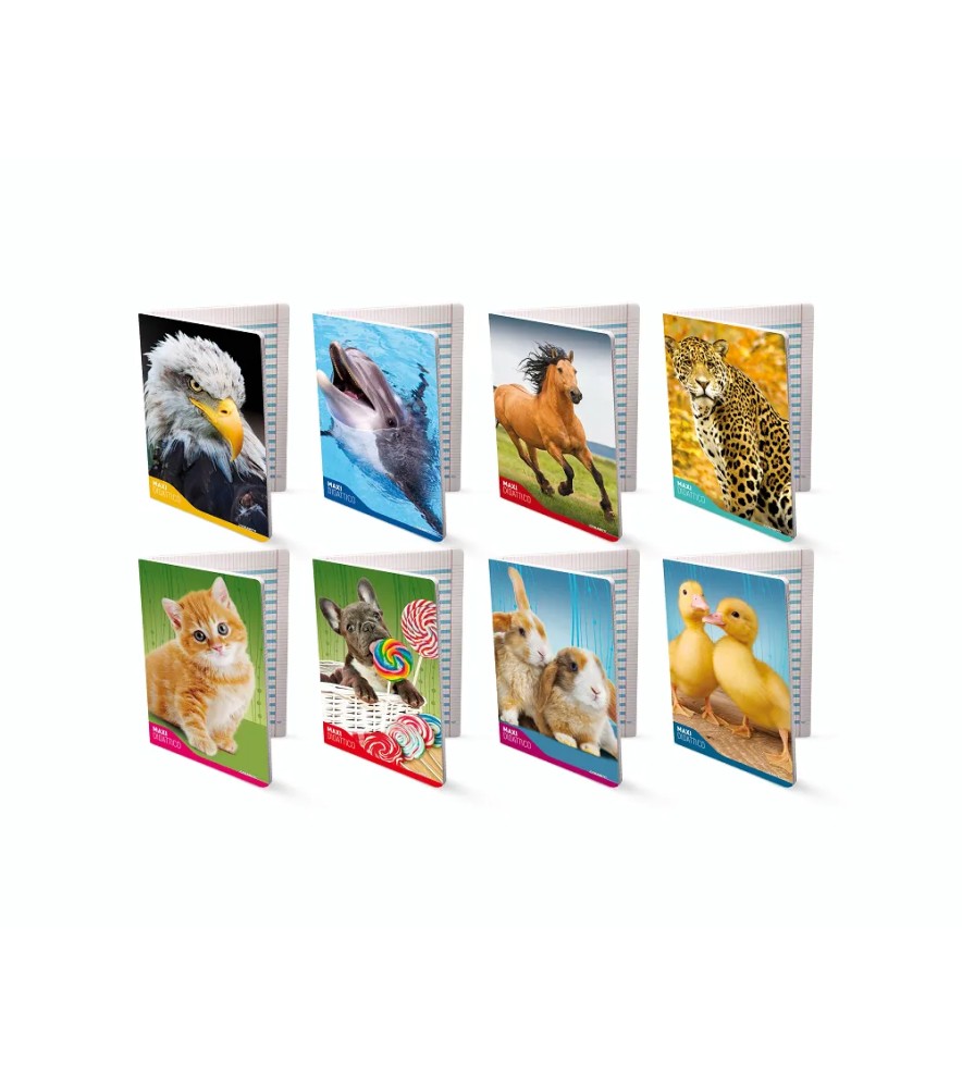 Maxi Quaderno Didattico Fantasia 80 pagine 100gr 20+1 foglio