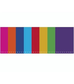 Maxi Quaderno Ppl 80gr Punto Metallico 20+1 foglio