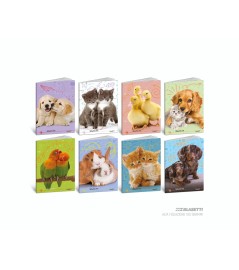 Maxi Quaderno Alta Foliazione Drawing Pets 100 pagine 100gr P.m.