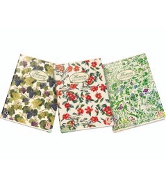 Maxi Quaderno Nature Carta...