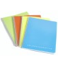 Maxi Spirale con Fori Ppl 160 pagine 75gr Spir. Plastica