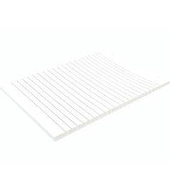 Carta Protocollo 20 fogli Gr 60