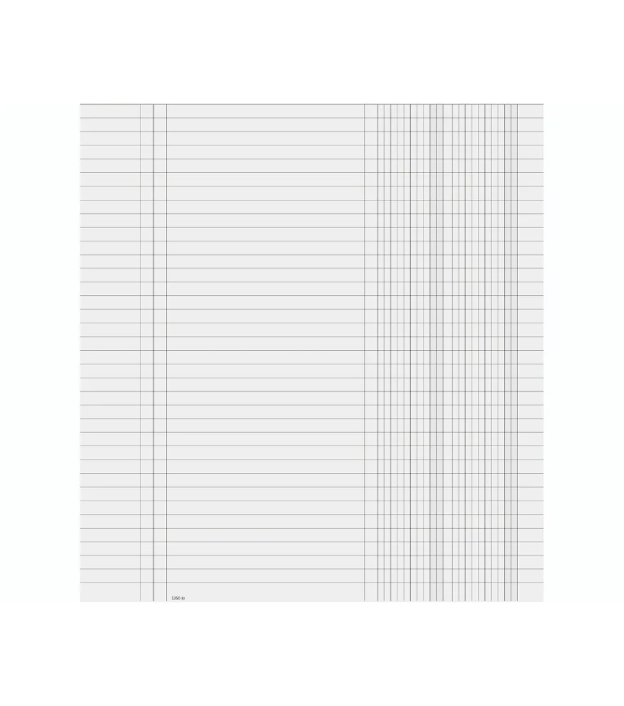Registro Libro Giornale 245 x 310mm