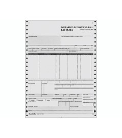 Documento Trasporto e...