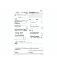 Rapporto Controllo Efficienza Energetica 210 x 310mm