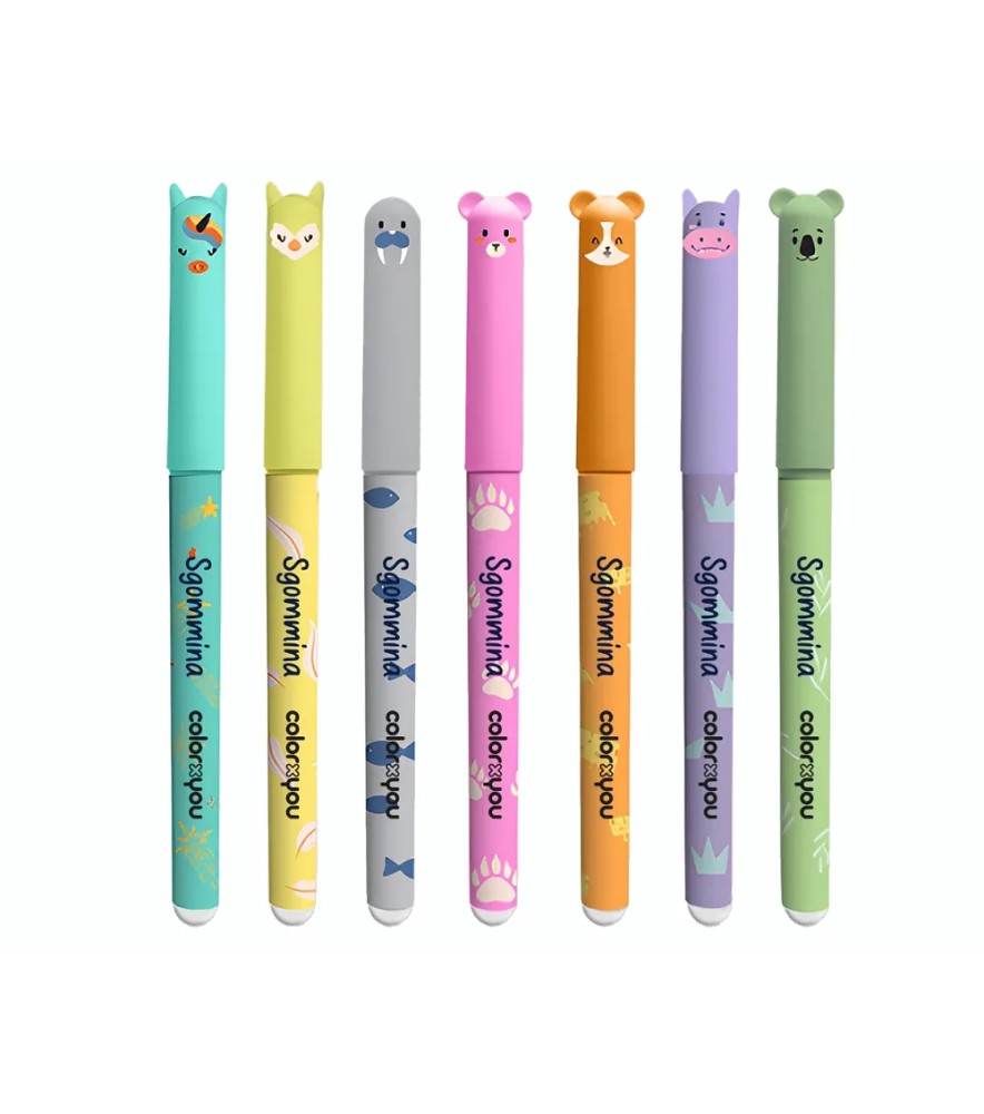 Penna Cancellabile Sgommina Fancy