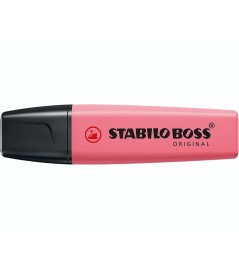 Evidenziatore a Penna...